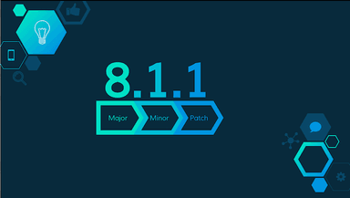 Software Versioning Best Practices